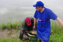 Соревнования Посиделки-2 ловля карпа 2012, Рыбалка карп, Рыбхоз Сенеж 471