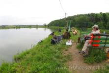 Соревнования Посиделки-2 ловля карпа 2012, Рыбалка карп, Рыбхоз Сенеж 98