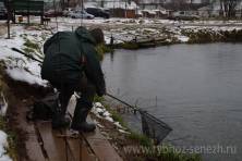 Рыбалка форель 03 ноября 2012 года, ловля форели, Рыбхоз Сенеж 103