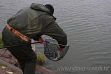 Рыбалка форель 03 ноября 2012 года, ловля форели, Рыбхоз Сенеж 111