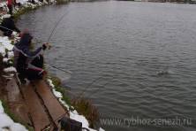 Рыбалка форель 03 ноября 2012 года, ловля форели, Рыбхоз Сенеж 142