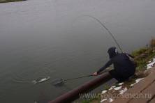 Рыбалка форель 03 ноября 2012 года, ловля форели, Рыбхоз Сенеж 182