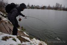 Рыбалка форель 03 ноября 2012 года, ловля форели, Рыбхоз Сенеж 196