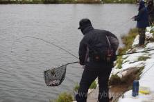 Рыбалка форель 03 ноября 2012 года, ловля форели, Рыбхоз Сенеж 205