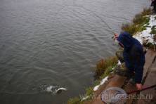 Рыбалка форель 03 ноября 2012 года, ловля форели, Рыбхоз Сенеж 216