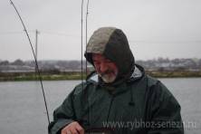Рыбалка форель 03 ноября 2012 года, ловля форели, Рыбхоз Сенеж 228
