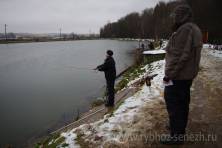 Рыбалка форель 03 ноября 2012 года, ловля форели, Рыбхоз Сенеж 237