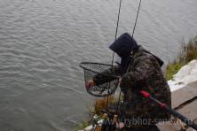 Рыбалка форель 03 ноября 2012 года, ловля форели, Рыбхоз Сенеж 271
