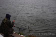 Рыбалка форель 03 ноября 2012 года, ловля форели, Рыбхоз Сенеж 276