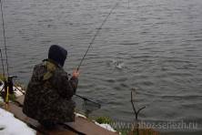 Рыбалка форель 03 ноября 2012 года, ловля форели, Рыбхоз Сенеж 277