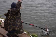 Рыбалка форель 03 ноября 2012 года, ловля форели, Рыбхоз Сенеж 278