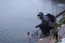Рыбалка форель 03 ноября 2012 года, ловля форели, Рыбхоз Сенеж 32