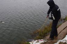 Рыбалка форель 03 ноября 2012 года, ловля форели, Рыбхоз Сенеж 322