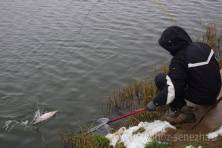 Рыбалка форель 03 ноября 2012 года, ловля форели, Рыбхоз Сенеж 324