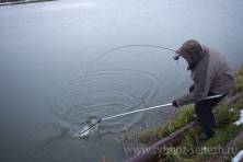 Рыбалка форель 03 ноября 2012 года, ловля форели, Рыбхоз Сенеж 44