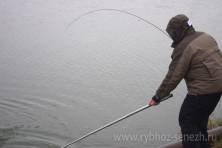 Рыбалка форель 03 ноября 2012 года, ловля форели, Рыбхоз Сенеж 501