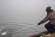 Рыбалка форель 03 ноября 2012 года, ловля форели, Рыбхоз Сенеж 502