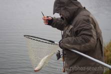 Рыбалка форель 03 ноября 2012 года, ловля форели, Рыбхоз Сенеж 505