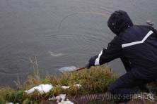 Рыбалка форель 03 ноября 2012 года, ловля форели, Рыбхоз Сенеж 51