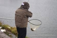 Рыбалка форель 03 ноября 2012 года, ловля форели, Рыбхоз Сенеж 520