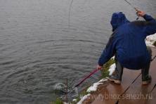 Рыбалка форель 03 ноября 2012 года, ловля форели, Рыбхоз Сенеж 56
