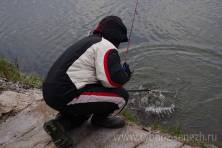 Рыбалка форель, ловля форели, Рыбхоз Сенеж 225