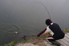 Рыбалка форель, ловля форели, Рыбхоз Сенеж 232