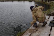Рыбалка форель, ловля форели, Рыбхоз Сенеж 285