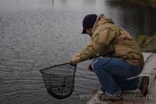Рыбалка форель, ловля форели, Рыбхоз Сенеж 286