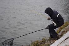 Рыбалка форель, ловля форели, Рыбхоз Сенеж 301