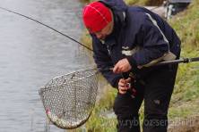 Рыбалка форель, ловля форели, Рыбхоз Сенеж 499