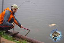 Рыбалка форель поймал-отпусти, ловля форели, Рыбхоз Сенеж 166