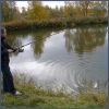фотоотчет о рыбалке на форель в Подмосковье